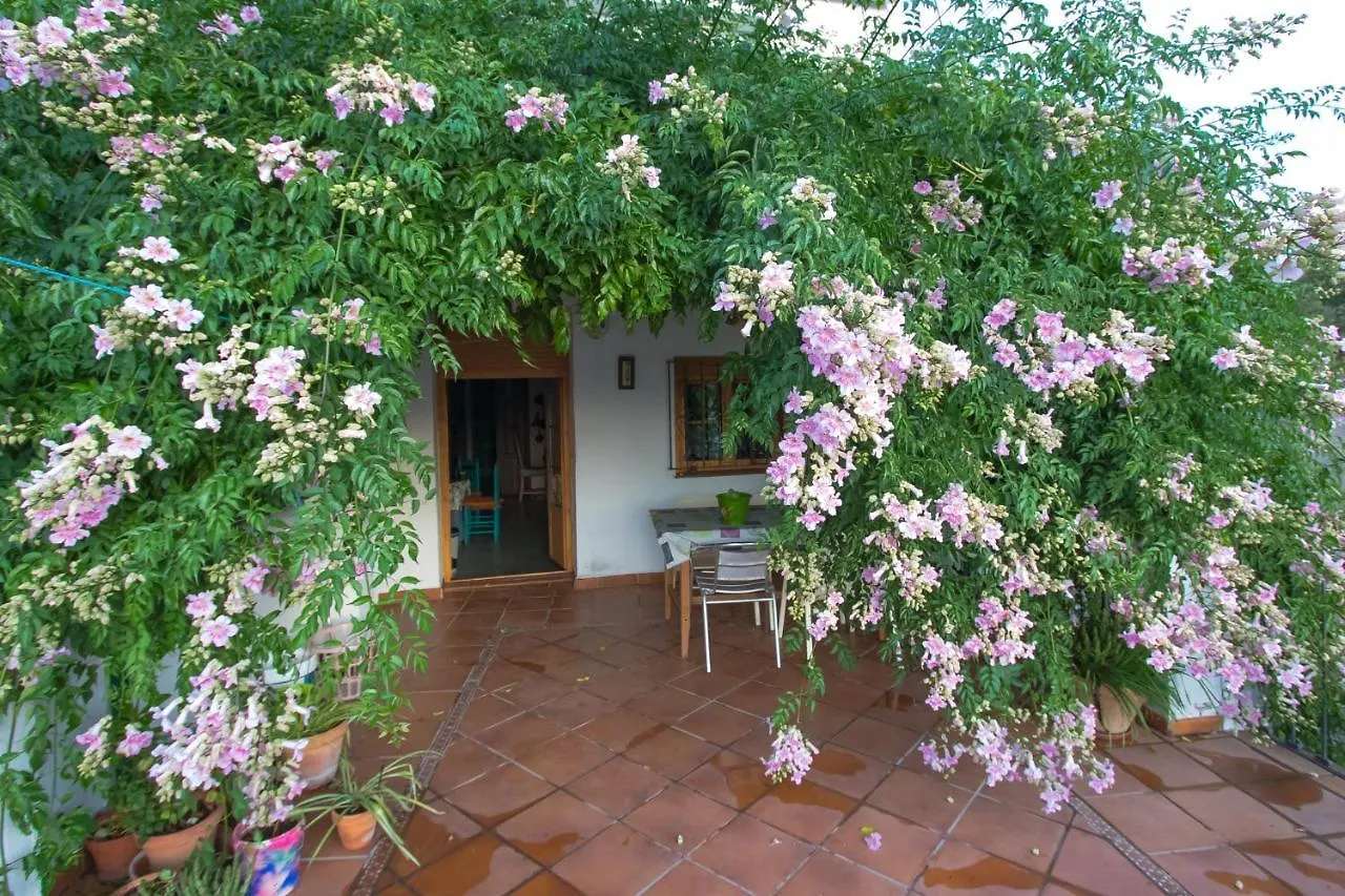 La Rana Verde Casa Rural Guest House Los Romeros Spain